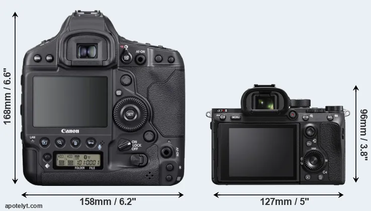 Comparison 1DX Mark III or A7R IIIA rear