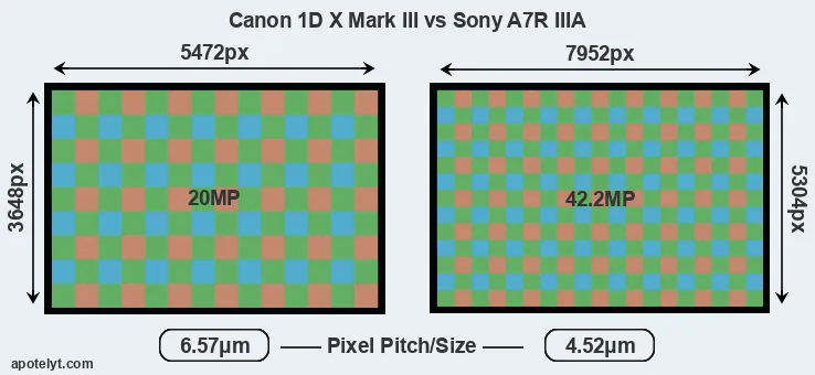 1DX Mark III versus A7R IIIA MP