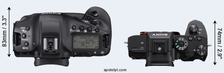 Compare 1DX Mark III versus A7R IIIA top