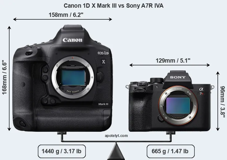 Size Canon 1D X Mark III vs Sony A7R IVA