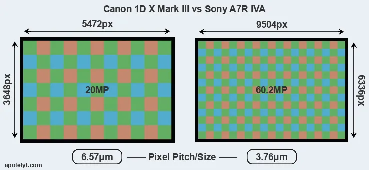1DX Mark III versus A7R IVA MP