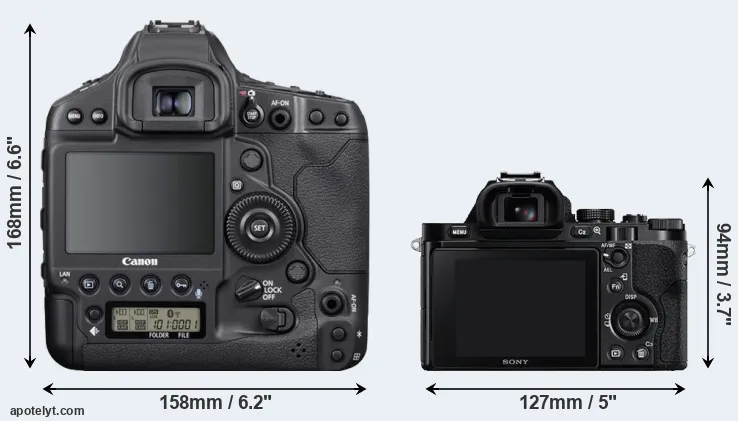 Comparison 1DX Mark III or A7R rear