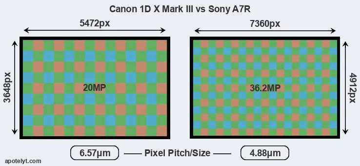 1DX Mark III versus A7R MP