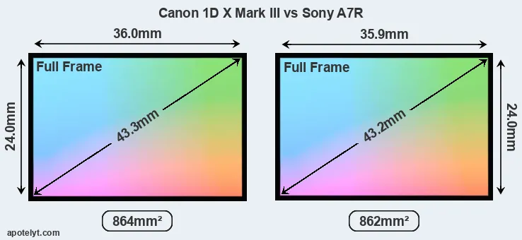 Canon 1D X Mark III and Sony A7R sensor measures