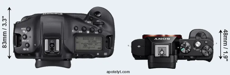Compare 1DX Mark III versus A7R top