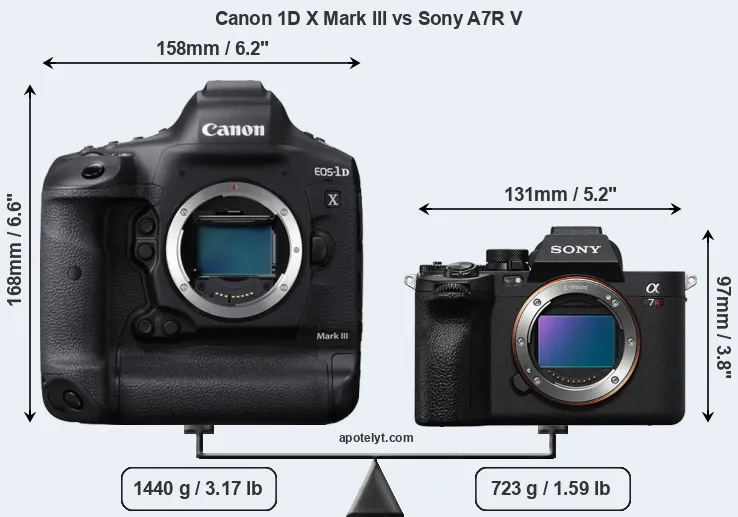 Size Canon 1D X Mark III vs Sony A7R V
