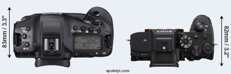 Compare 1DX Mark III versus A7R V top
