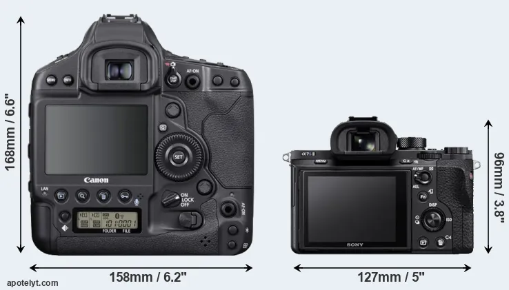 Comparison 1DX Mark III or A7S II rear