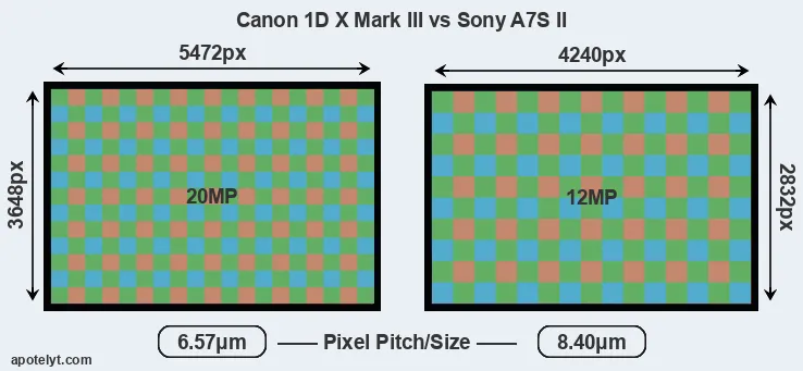 1DX Mark III versus A7S II MP