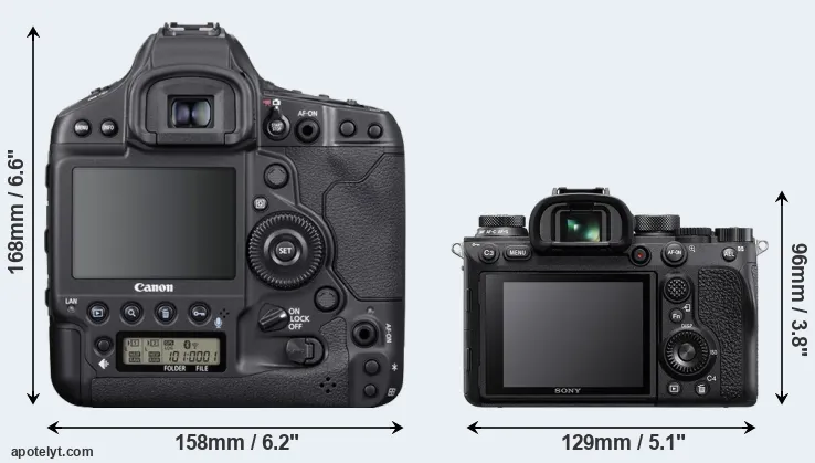 Comparison 1DX Mark III or A9 II rear