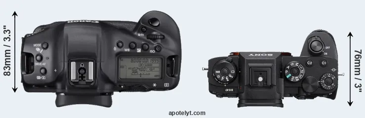Compare 1DX Mark III versus A9 II top