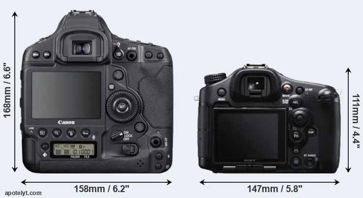 Comparison 1DX Mark III or A99 rear