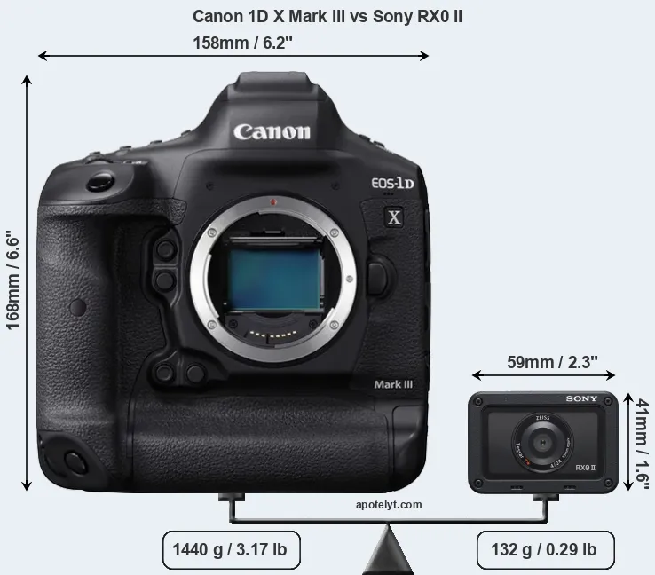 Size Canon 1D X Mark III vs Sony RX0 II