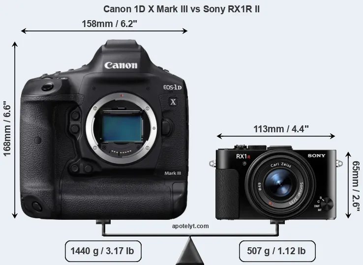 Size Canon 1D X Mark III vs Sony RX1R II