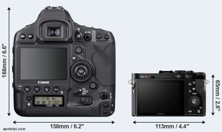 Comparison 1DX Mark III or RX1R II rear