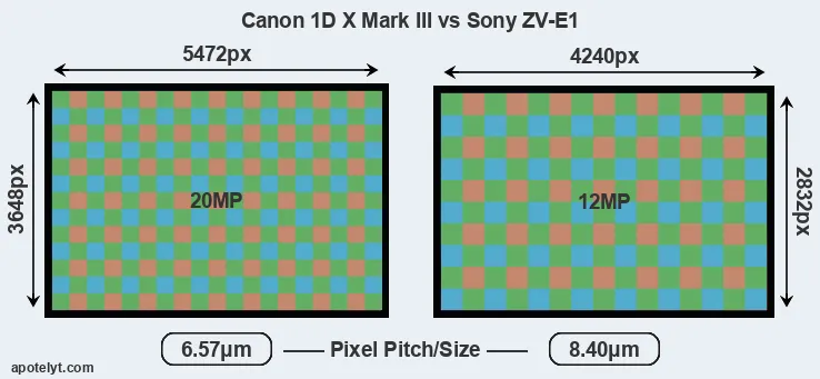 1DX Mark III versus ZV-E1 MP