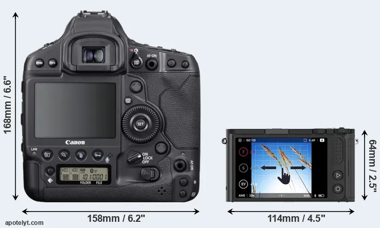 Comparison 1DX Mark III or M1 rear