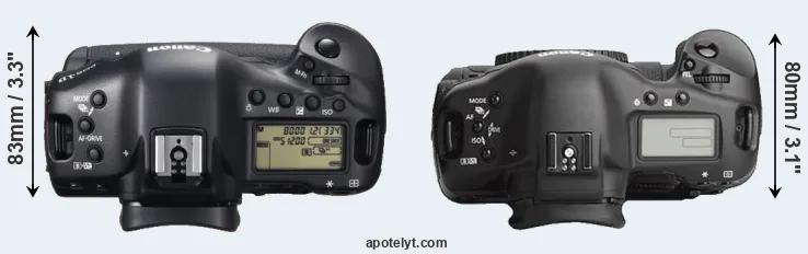 Compare 1DX versus 1Ds Mark III top