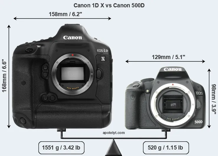 Size Canon 1D X vs Canon 500D
