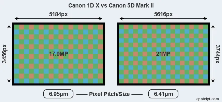 1DX versus 5D Mark II MP