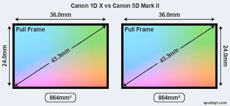 Canon 1D X and Canon 5D Mark II sensor measures