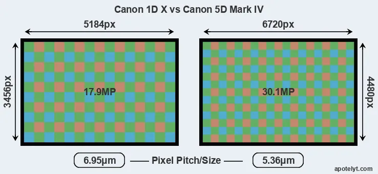 1DX versus 5D Mark IV MP