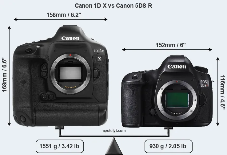 Size Canon 1D X vs Canon 5DS R