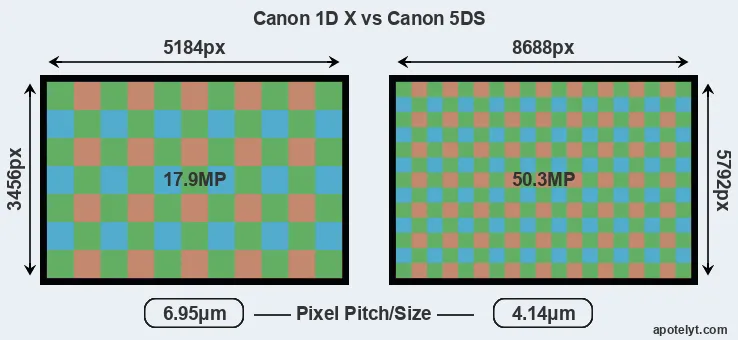 1DX versus 5DS MP