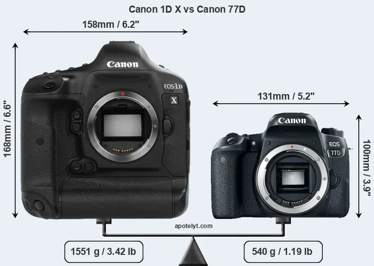 Size Canon 1D X vs Canon 77D