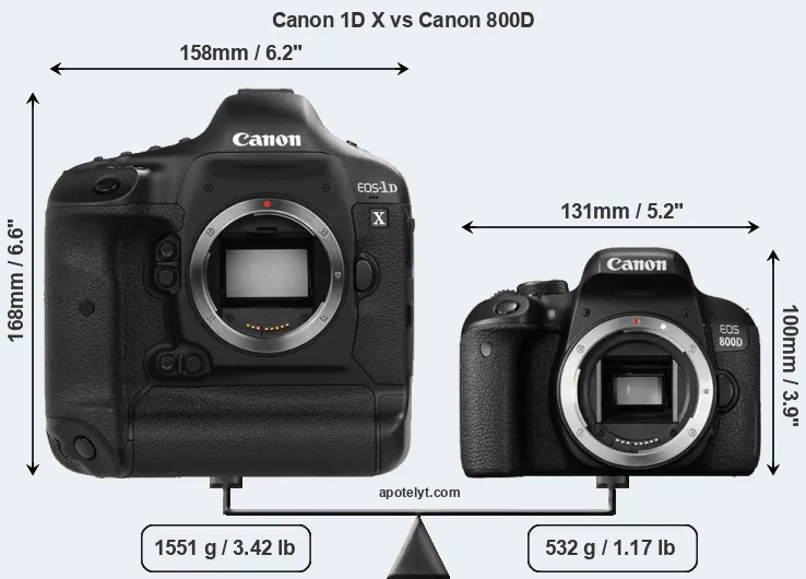 Size Canon 1D X vs Canon 800D
