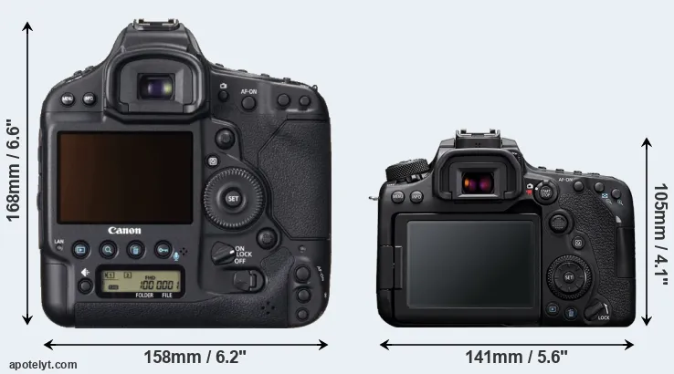 Comparison 1DX or 90D rear