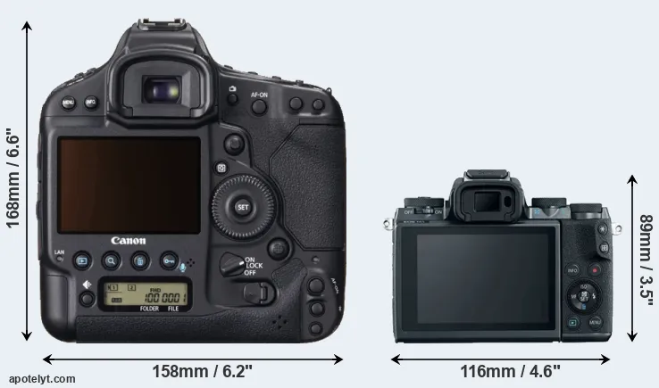 Comparison 1DX or M5 rear