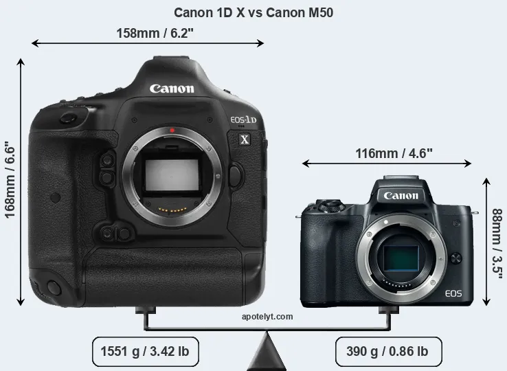 Size Canon 1D X vs Canon M50