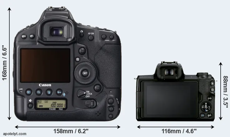 Comparison 1DX or M50 Mark II rear