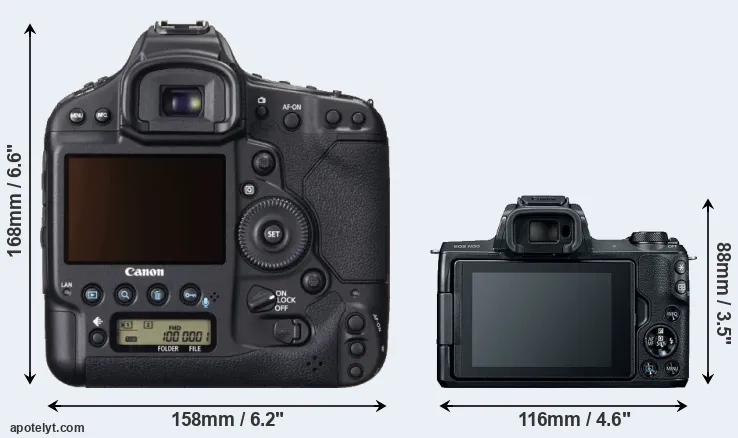 Comparison 1DX or M50 rear