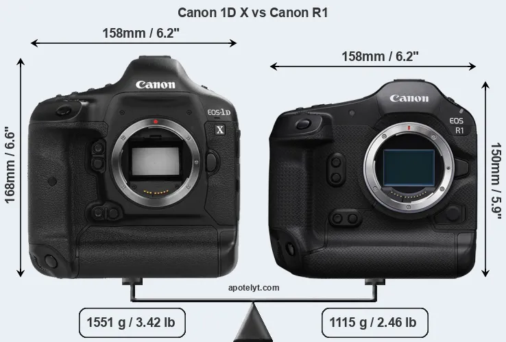 Size Canon 1D X vs Canon R1