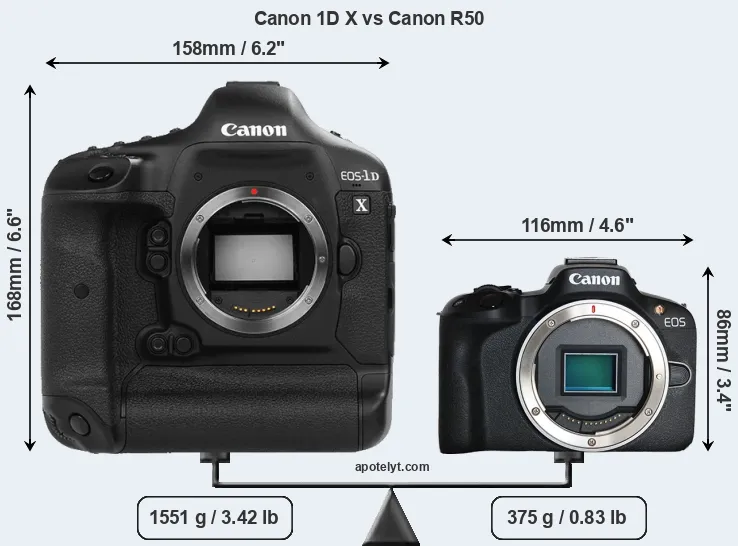 Size Canon 1D X vs Canon R50