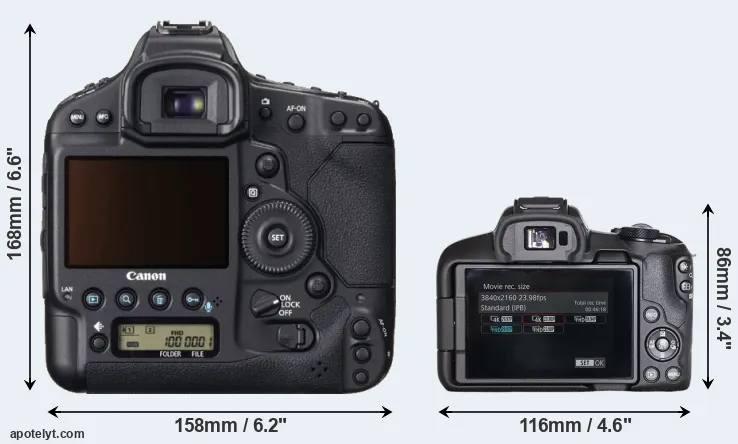 Comparison 1DX or R50 rear
