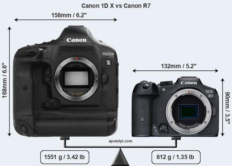 Size Canon 1D X vs Canon R7