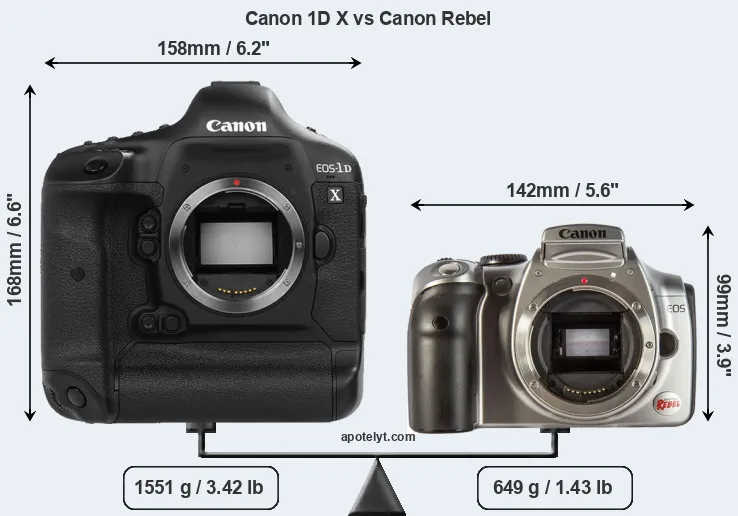 Size Canon 1D X vs Canon Rebel