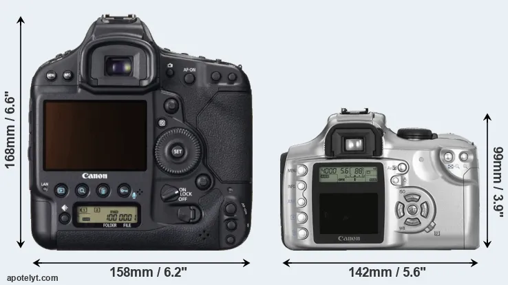 Comparison 1DX or Rebel rear