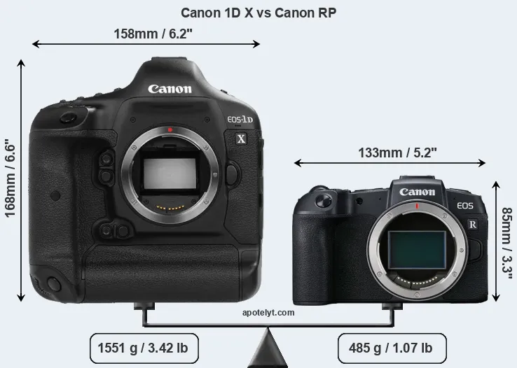 Size Canon 1D X vs Canon RP