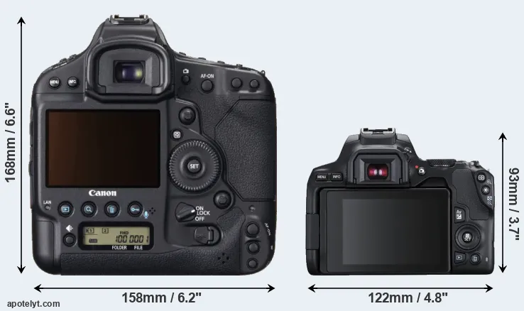 Comparison 1DX or SL3 rear