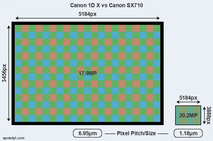 1DX versus SX710 MP