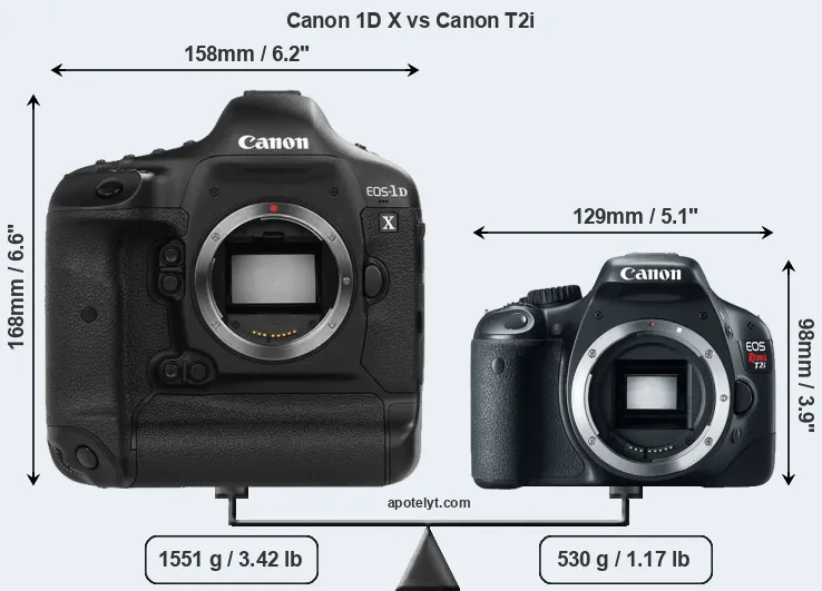 Size Canon 1D X vs Canon T2i