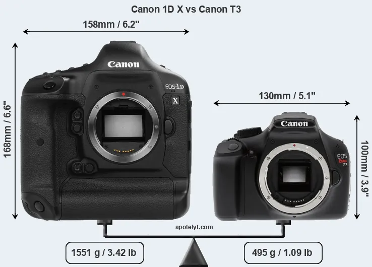 Size Canon 1D X vs Canon T3