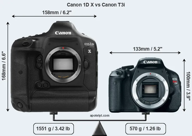 Size Canon 1D X vs Canon T3i