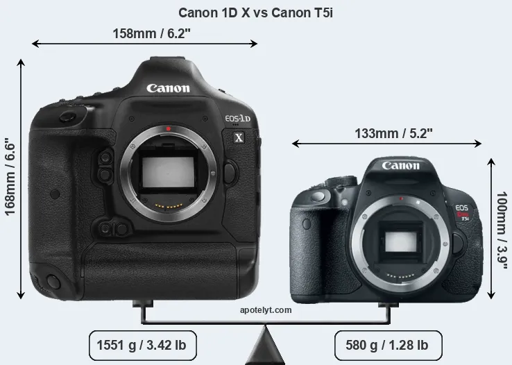 Size Canon 1D X vs Canon T5i