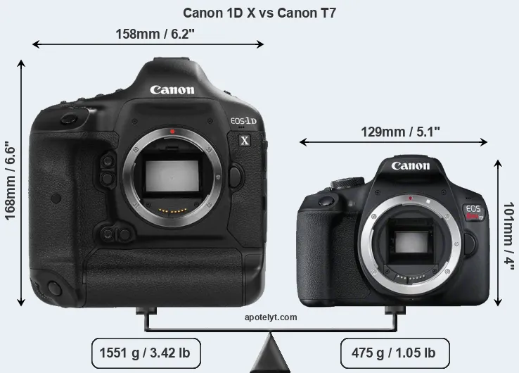 Size Canon 1D X vs Canon T7