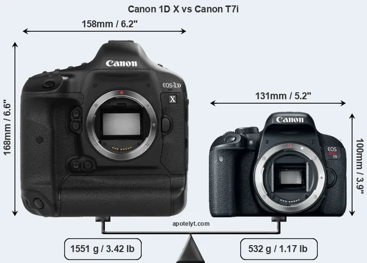 Size Canon 1D X vs Canon T7i